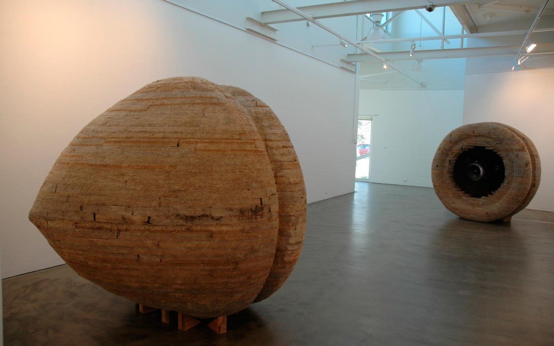 Lingoplasty, 2005