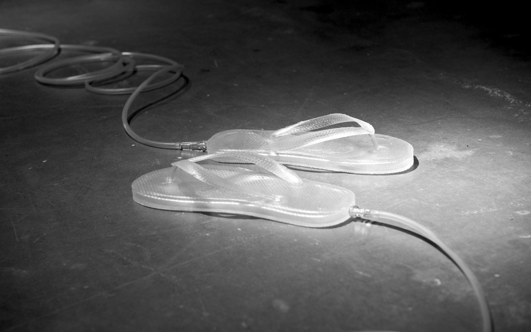 Touch me Gertrude Stein, 2009