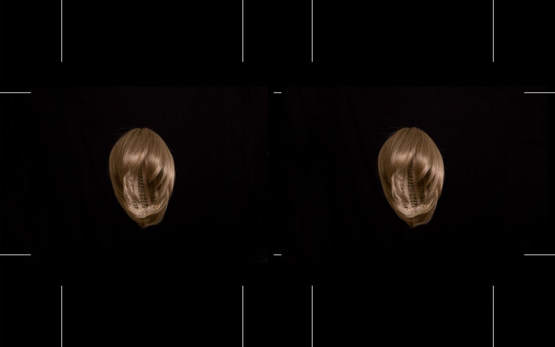 Viewmasters (from the Denuded series), 2008