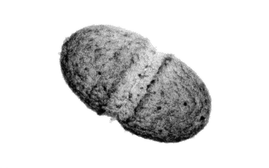 Images of very small things, 2016